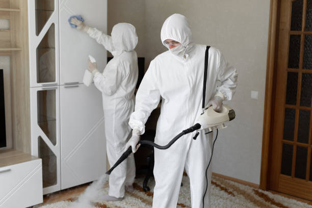 24/7 Emergency Odor Removal experts in El Cerrito, CA