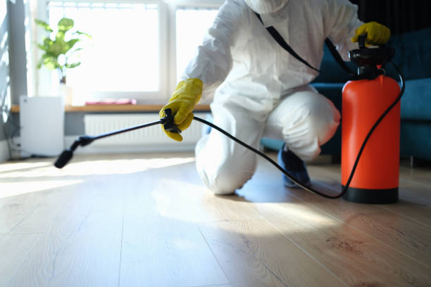Reliable Odor Removal contractor in El Cerrito, CA by Trauma Clean Pros